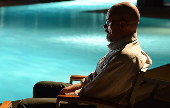 Breaking Bad Season 5 Episode 12 Recap: Old Yeller and the Rabid Dog