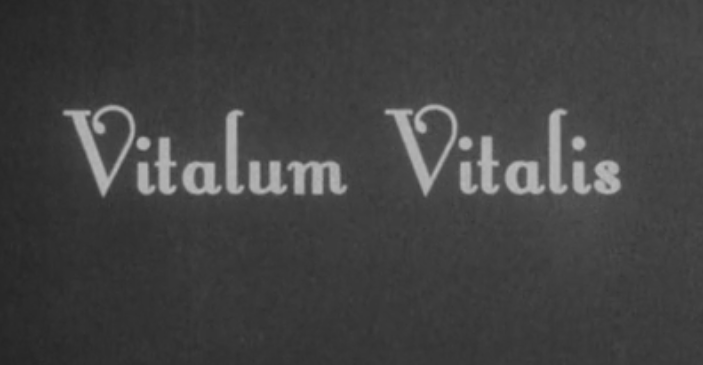 ‘American Horror Story: Coven’ Recap Episode 12 — Ding Dong the Witch Is Dead