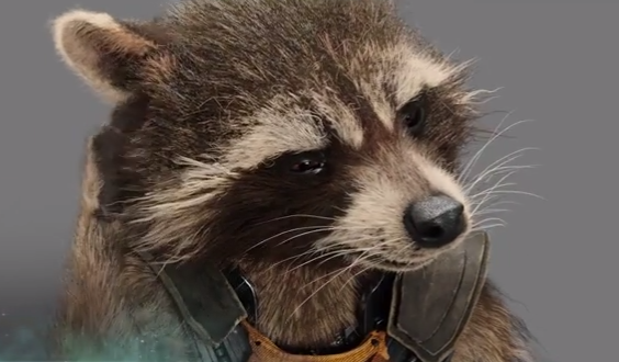 Finally Hear Rocket Raccoon Speak in New ‘Guardians of the Galaxy’ Footage (Video)