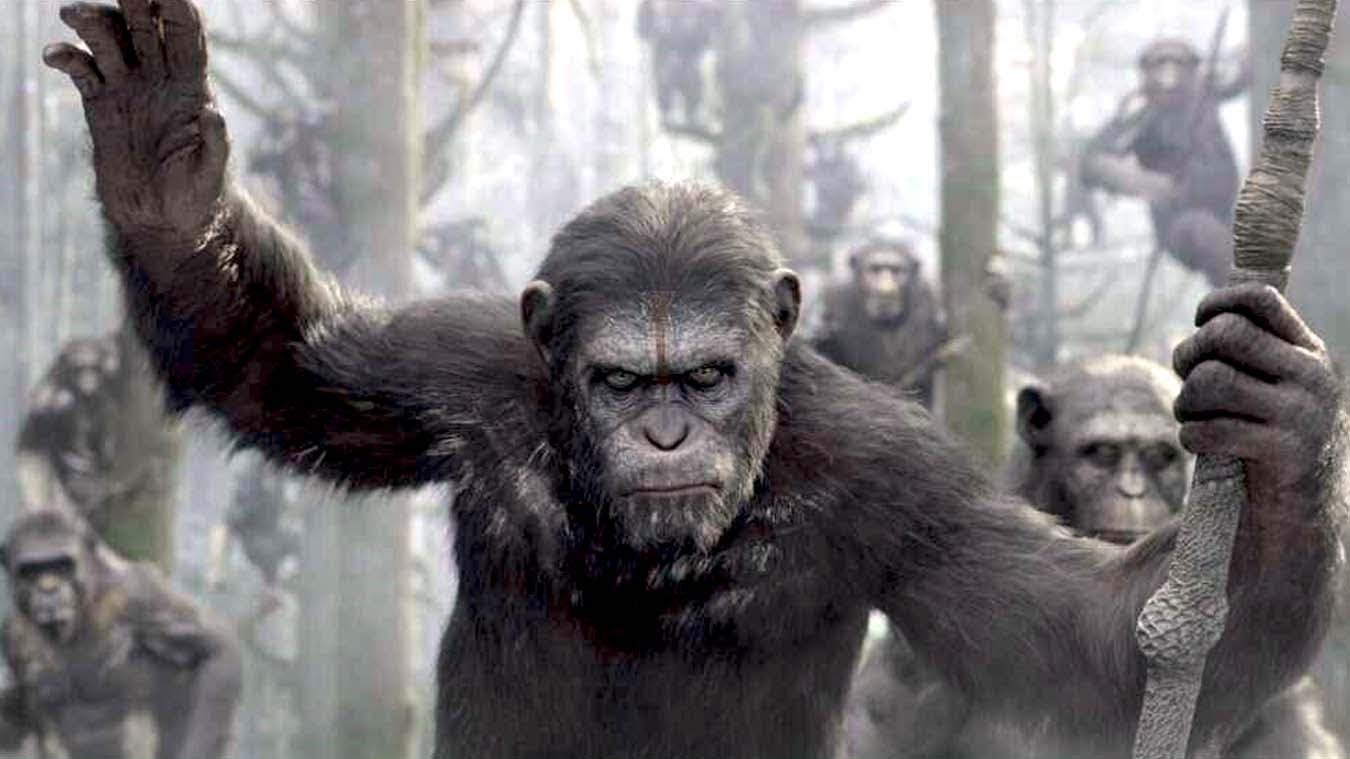 ‘Dawn of the Planet of the Apes’ Review: A Summer Blockbuster With Something to Say