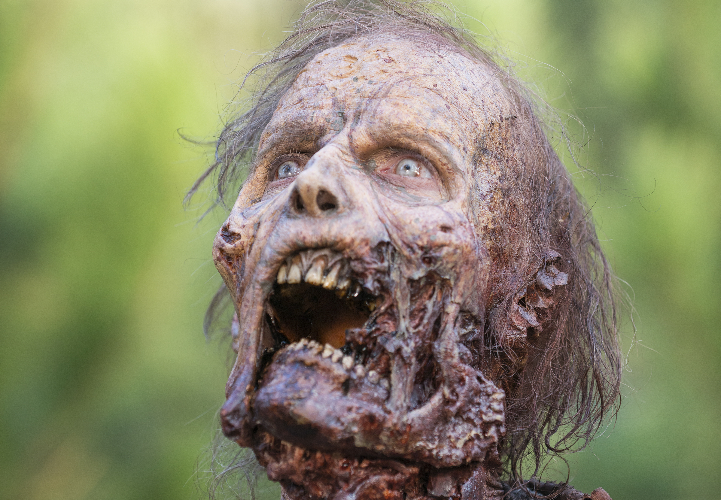 The Walking Dead Season 5 Finale Recap ‘Conquer’: Everything Gets a Return