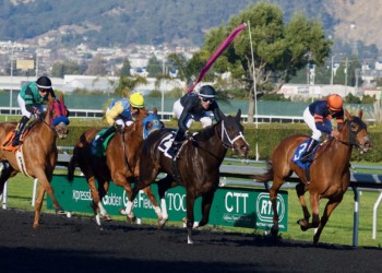 Furlongs In Horse Racing – Why Are They Used?