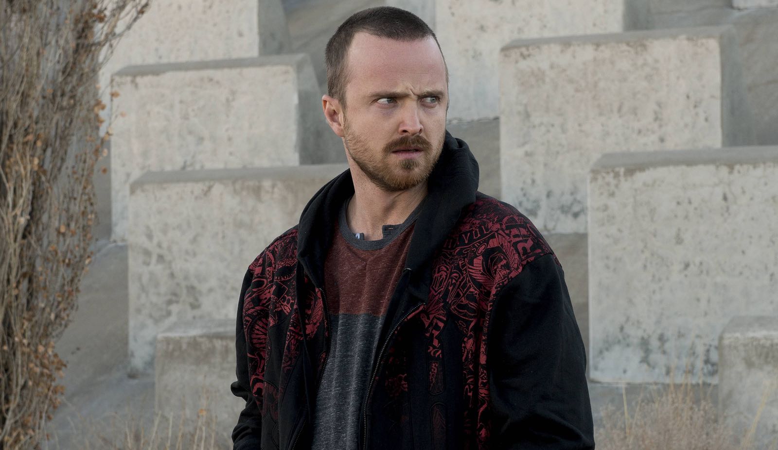 ‘El Camino: A Breaking Bad Movie’ Review and Recap: ‘Good Luck, Mr. Driscoll’