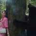 VIDEO: ‘Cocaine Bear’ Trailer About a Cocaine-Fueled, Murderous Bear Is Just as Insane as You’d Imagine