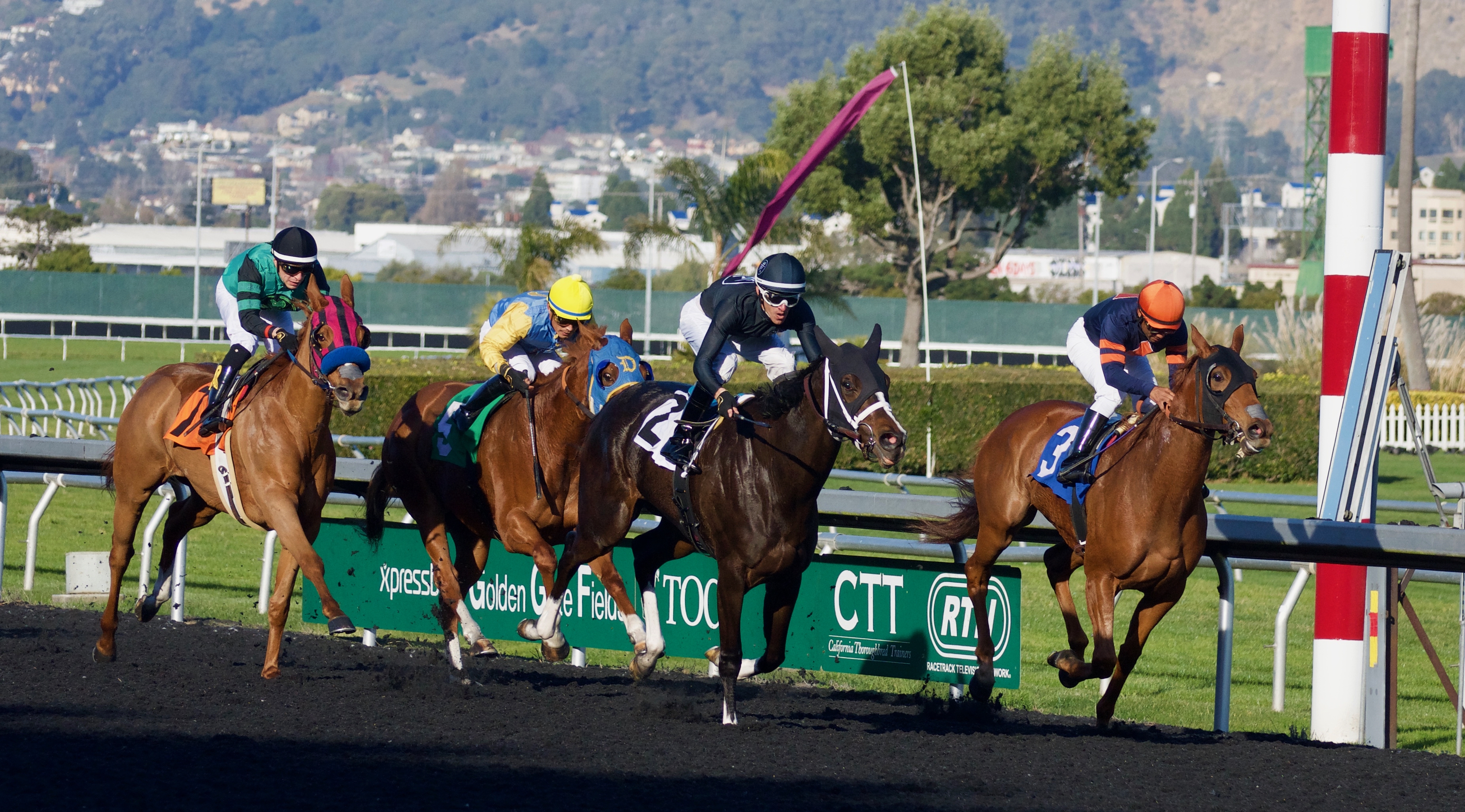Best Horse Racing Games Nerdcore Movement
