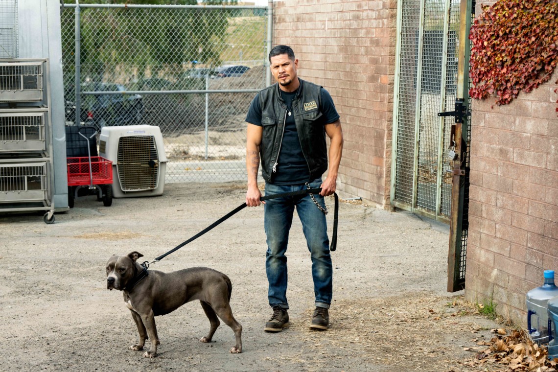 ‘Mayans M.C.’ Recap Season 4, Episode 3 ‘Self Portrait in Blue Bathroom’: The Future Starts Now