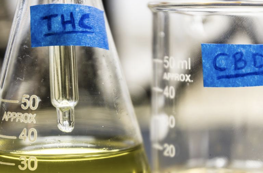 The Difference between CBD oil and Cannabis Oil