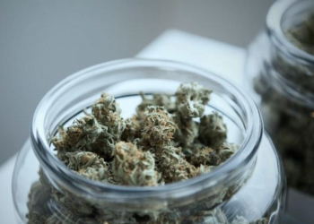 CBD Concentrates – A More Effective Take On Cannabidiol