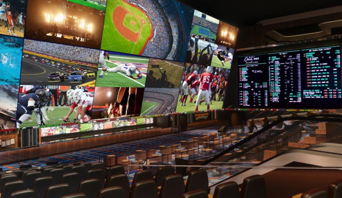 Do Fans Bet on Sports for Fun?