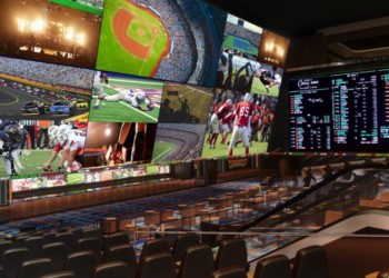 Do Fans Bet on Sports for Fun?