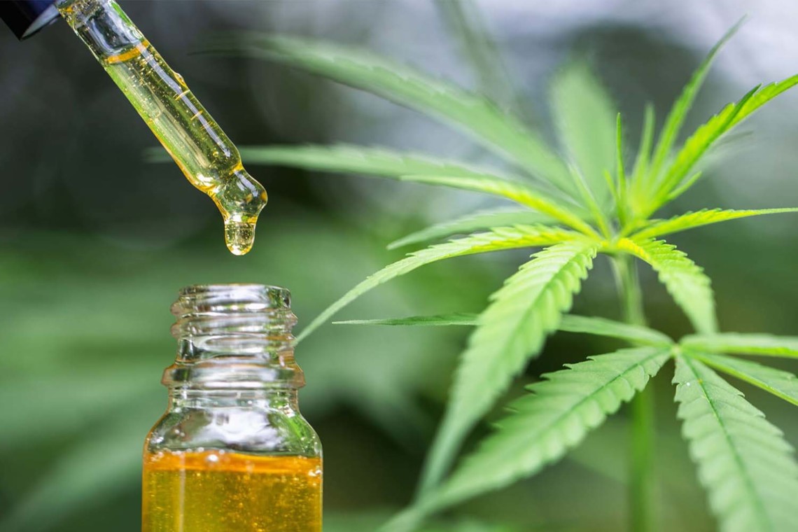 The Difference between CBD oil and Cannabis Oil