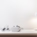 Could Online Poker Soon Move to VR?