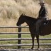 ‘Yellowstone’ Season 4, Episode 7 Recap ‘Keep the Wolves Close’: The Devil We Know